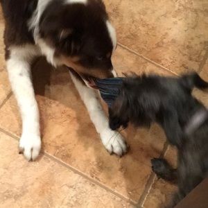 Meet your Posher, Russell